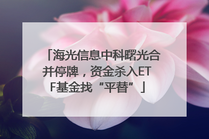海光信息中科曙光合并停牌，资金杀入ETF基金找“平替”