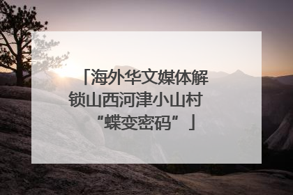 海外华文媒体解锁山西河津小山村“蝶变密码”