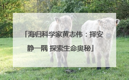 海归科学家黄志伟：择安静一隅 探索生命奥秘