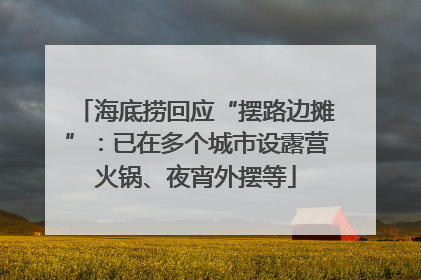 海底捞回应“摆路边摊”：已在多个城市设露营火锅、夜宵外摆等