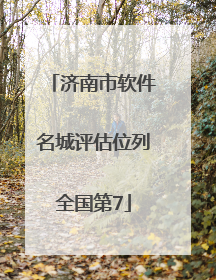 济南市软件名城评估位列全国第7