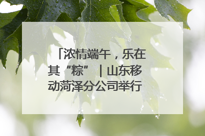 浓情端午，乐在其“粽”｜山东移动菏泽分公司举行端午节主题活动