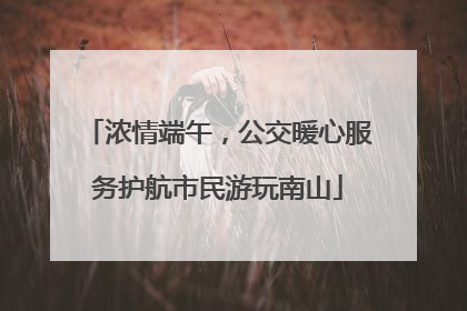 浓情端午，公交暖心服务护航市民游玩南山