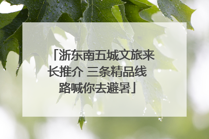 浙东南五城文旅来长推介 三条精品线路喊你去避暑