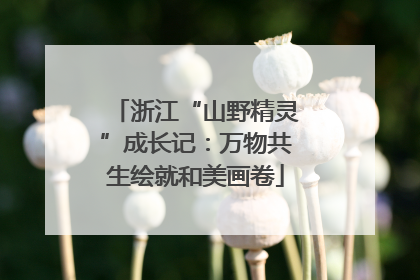 浙江“山野精灵”成长记：万物共生绘就和美画卷