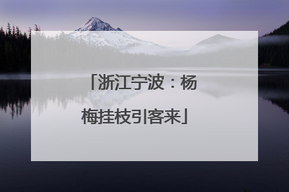 浙江宁波：杨梅挂枝引客来