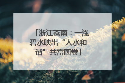 浙江苍南：一泓碧水映出“人水和谐”共富画卷