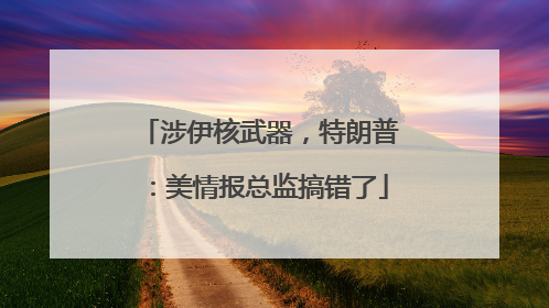涉伊核武器，特朗普：美情报总监搞错了