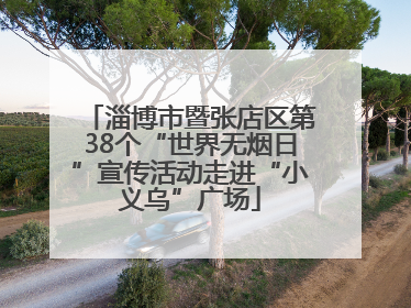 淄博市暨张店区第38个“世界无烟日”宣传活动走进“小义乌”广场