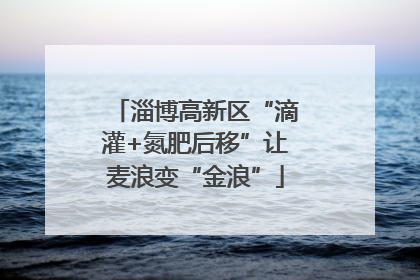 淄博高新区“滴灌+氮肥后移”让麦浪变“金浪”