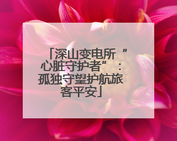 深山变电所“心脏守护者”：孤独守望护航旅客平安