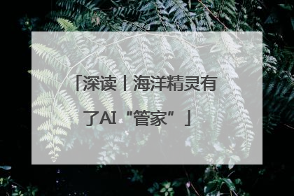 深读丨海洋精灵有了AI“管家”