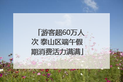 游客超60万人次 泰山区端午假期消费活力满满