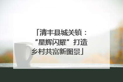 清丰县城关镇：“星辉闪耀”打造乡村共富新图景