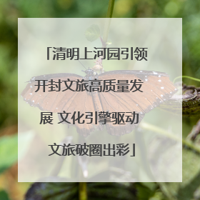 清明上河园引领开封文旅高质量发展 文化引擎驱动 文旅破圈出彩