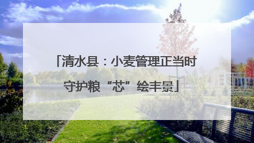 清水县：小麦管理正当时 守护粮“芯”绘丰景