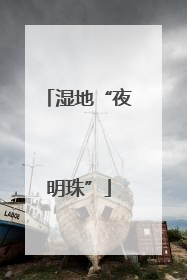 湿地“夜明珠”
