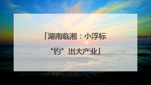 湖南临湘：小浮标“钓”出大产业