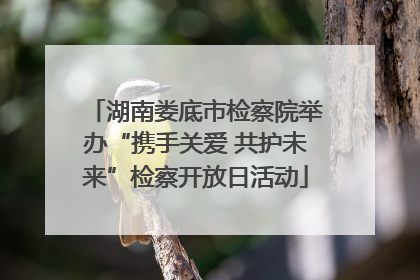 湖南娄底市检察院举办“携手关爱 共护未来”检察开放日活动