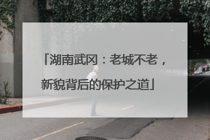 湖南武冈：老城不老，新貌背后的保护之道
