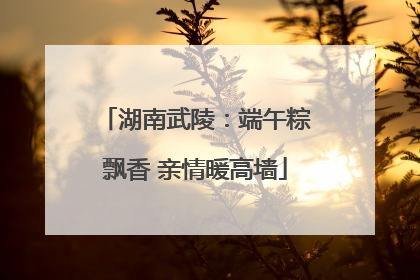 湖南武陵：端午粽飘香 亲情暖高墙