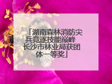 湖南森林消防尖兵竞逐技能巅峰 长沙市林业局获团体一等奖