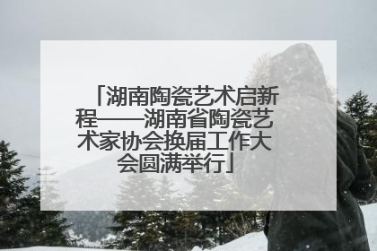 湖南陶瓷艺术启新程——湖南省陶瓷艺术家协会换届工作大会圆满举行
