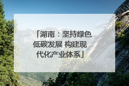 湖南：坚持绿色低碳发展 构建现代化产业体系
