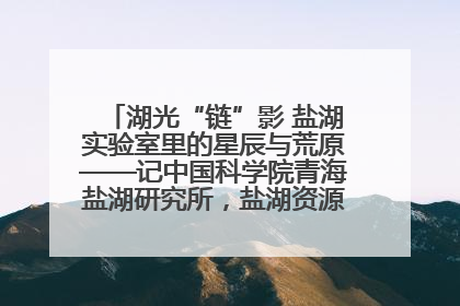 湖光“链”影 盐湖实验室里的星辰与荒原——记中国科学院青海盐湖研究所，盐湖资源化学实验室党总支书记、副主任刘忠