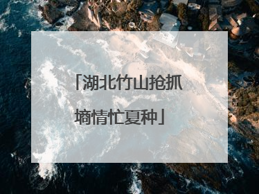 湖北竹山抢抓墒情忙夏种