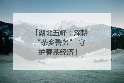 湖北五峰：深耕“茶乡警务” 守护春茶经济