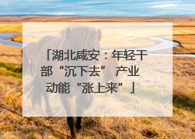 湖北咸安：年轻干部“沉下去” 产业动能“涨上来”