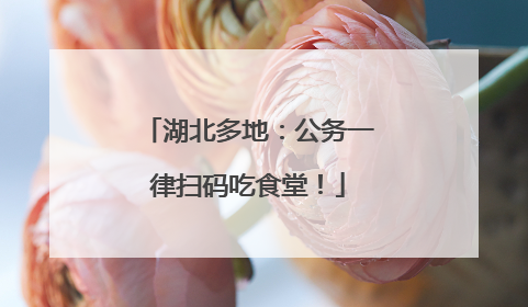 湖北多地：公务一律扫码吃食堂！