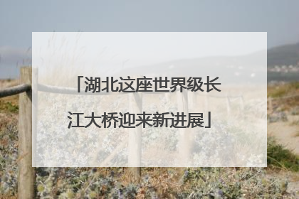 湖北这座世界级长江大桥迎来新进展