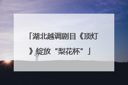湖北越调剧目《顶灯》绽放“梨花杯”