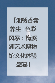 湘绣香囊养生+色彩风暴：梅溪湖艺术博物馆文化体验盛宴
