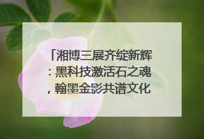 湘博三展齐绽新辉：黑科技激活石之魂，翰墨金影共谱文化遗产日华章