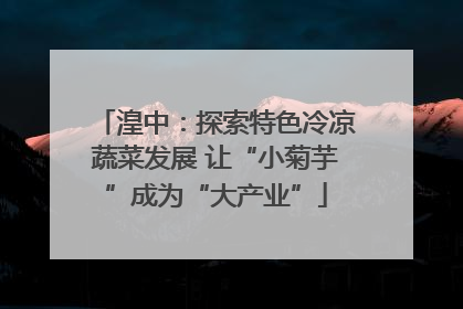 湟中：探索特色冷凉蔬菜发展 让“小菊芋”成为“大产业”