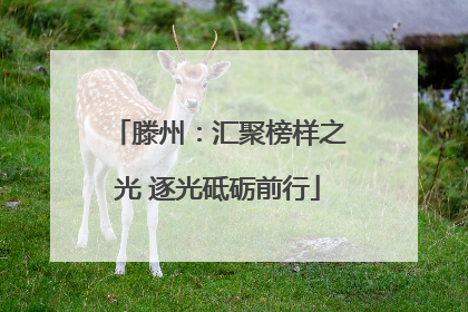 滕州：汇聚榜样之光 逐光砥砺前行