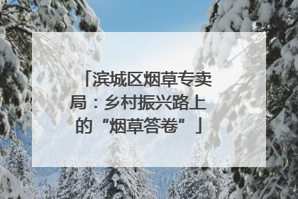 滨城区烟草专卖局：乡村振兴路上的“烟草答卷”