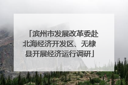 滨州市发展改革委赴北海经济开发区、无棣县开展经济运行调研