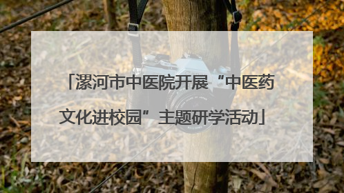 漯河市中医院开展“中医药文化进校园”主题研学活动