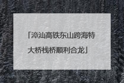 漳汕高铁东山跨海特大桥栈桥顺利合龙