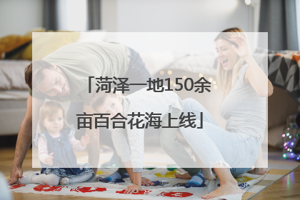 菏泽一地150余亩百合花海上线