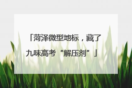 菏泽微型地标，藏了九味高考“解压剂”