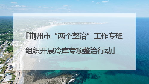荆州市“两个整治”工作专班组织开展冷库专项整治行动