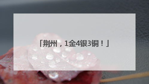 荆州，1金4银3铜！