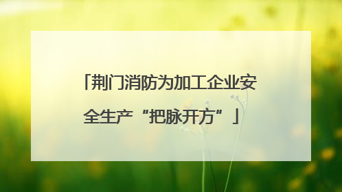 荆门消防为加工企业安全生产“把脉开方”