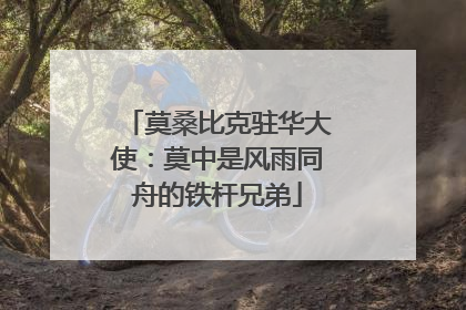 莫桑比克驻华大使：莫中是风雨同舟的铁杆兄弟