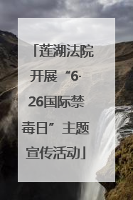 莲湖法院开展“6·26国际禁毒日”主题宣传活动